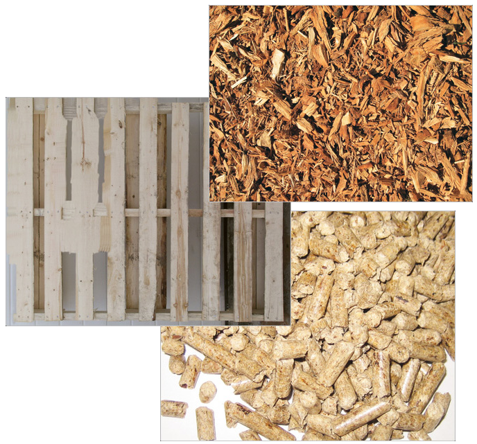 Biomass Contribution